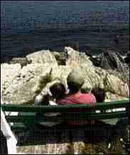[2 people sitting on bench overlooking rocks and water]