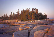 [Rocky shore and island with pines]